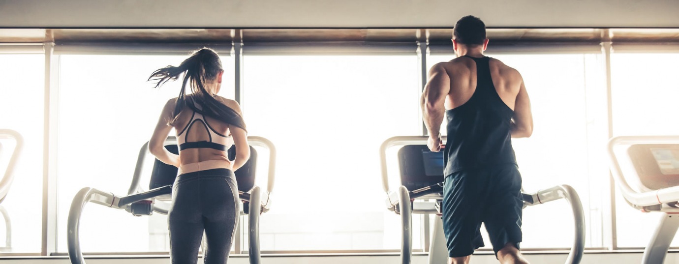 Petfriendly apartments in Atlanta, GA The Grove Chamblee